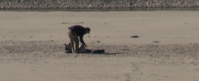 Copertina di Mirko, il ragazzo che pulisce le rive del Po: “Raccolgo plastica, copertoni e ferro. Sto bene e lascio un posto migliore”