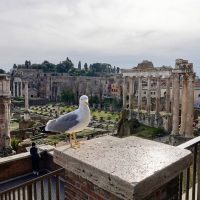Il Foro romano con visitatore