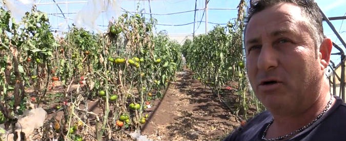 Copertina di Pachino, la nuova protesta degli agricoltori: “Rovinati da prezzi e maltempo. Politica? Nessuno ha mai fatto nulla”