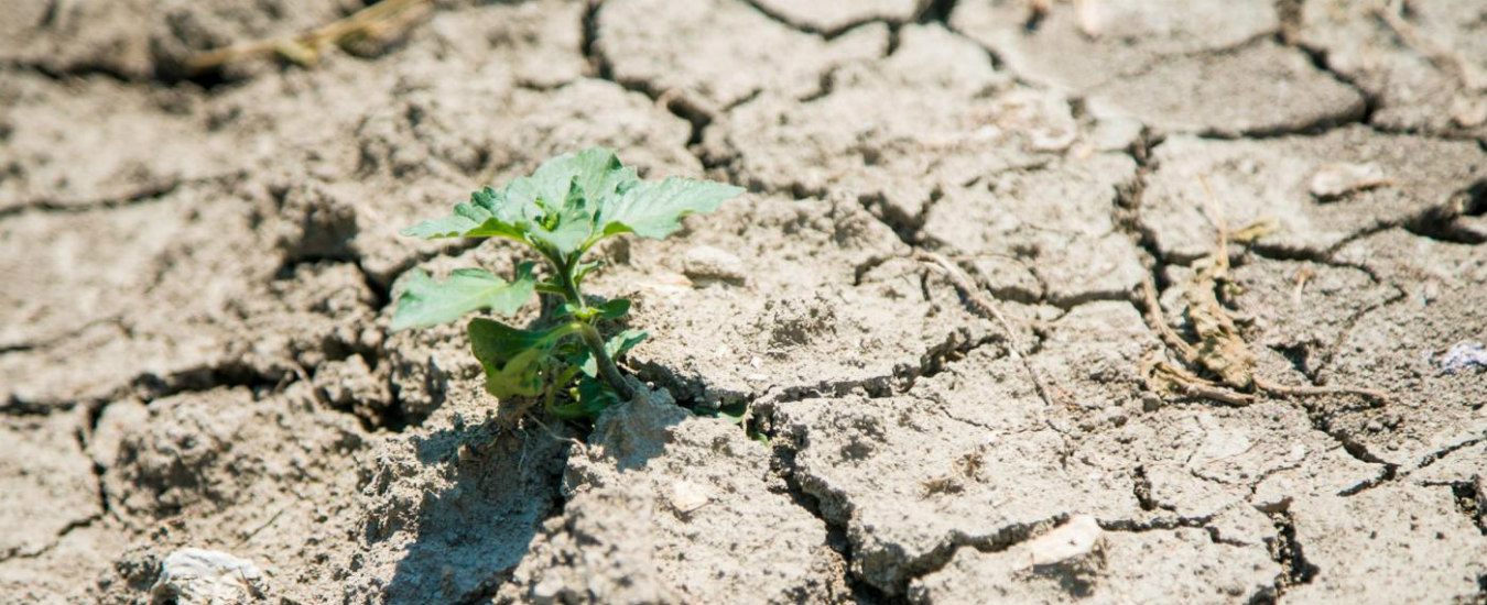 Clima, in Italia la siccità è spaventosa. Ma si continua a far finta di niente