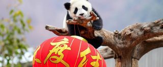 Copertina di Nuova Via della Seta, la Cassa depositi e prestiti lancerà “Panda bond” per finanziare aziende italiane in Cina