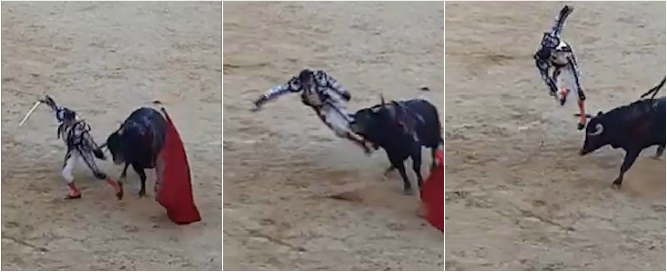 Copertina di Valencia, il torero Enrique Ponce incornato durante la corrida: le immagini sono impressionanti