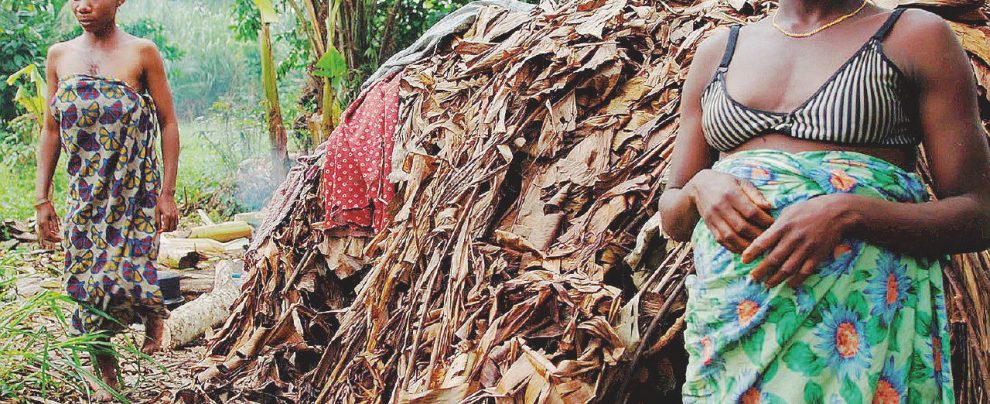 La foresta del Congo: il Wwf accusato di colonialismo verde La foresta del Congo: il Wwf accusato di colonialismo verde