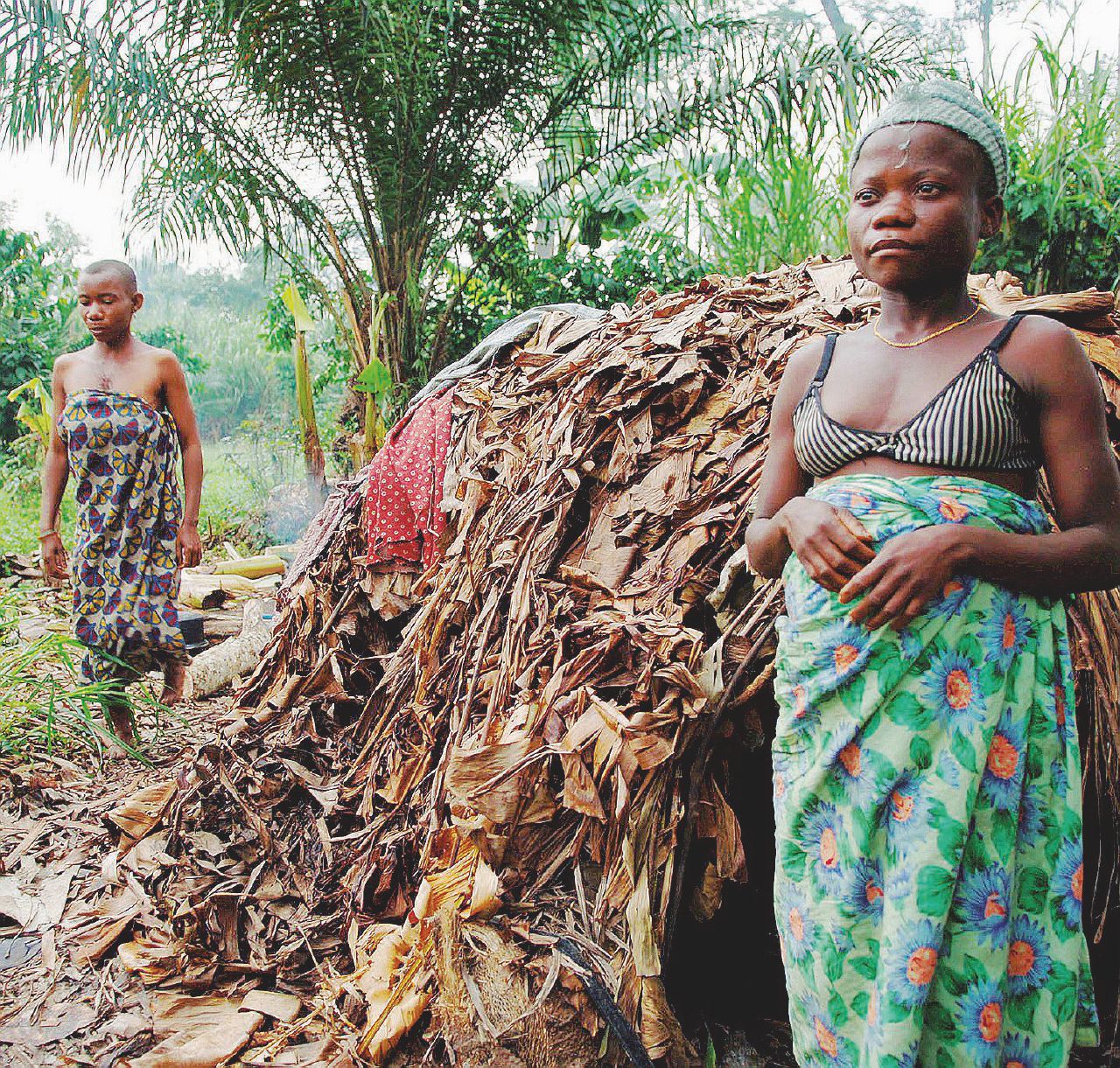 La foresta del Congo: il Wwf accusato di colonialismo verde La foresta del Congo: il Wwf accusato di colonialismo verde
