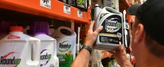 Glifosato, Monsanto condannata: “Il loro diserbante causa del cancro”. 80 milioni di risarcimento a un californiano