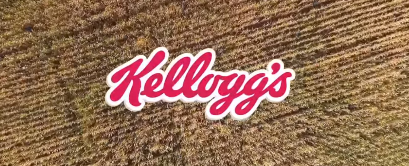 Ferrero compra i biscotti di Kellogg’s per circa 1,3 miliardi di dollari. Nuovo ‘colpo’ in Nord America dopo i brand di Nestlé