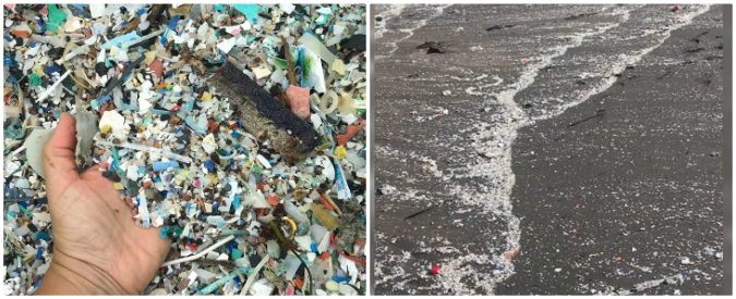 Copertina di Canarie, la spiaggia di Tenerife invasa dalla plastica: “Mai così grave”. Le immagini dal litorale pieno di rifiuti