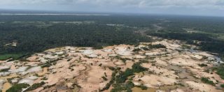 Copertina di Amazzonia, 13 milioni di ettari di foresta a rischio distruzione per guerra dei dazi tra Usa e Cina: al loro posto campi di soia