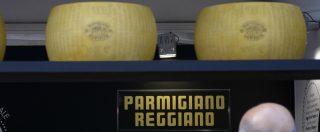 Copertina di Parmigiano reggiano Dop, sequestrate 196 forme di formaggio. “Accertato utilizzo di latte non conforme”