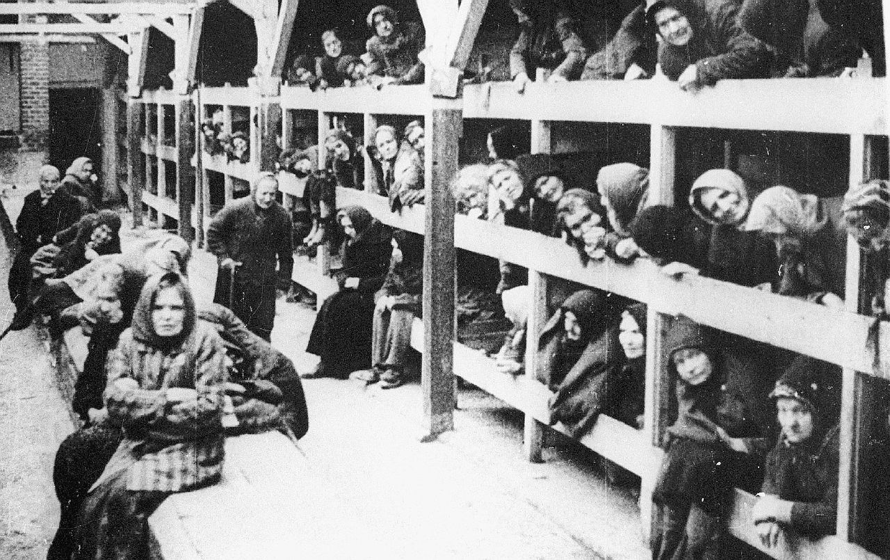 Copertina di La caccia (infinita) alle SS che sognano il nuovo Reich