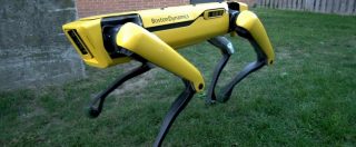 Copertina di Il robot-cane SpotMini sta per arrivare in commercio. Riesce persino a trainare un camion