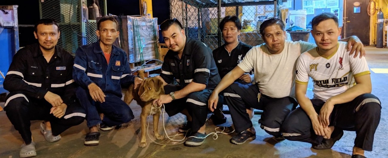 Copertina di Salvato a 220 chilometri dalla costa, l’incredibile storia di Boonrod: ha nuotato fino alla piattaforma petrolifera