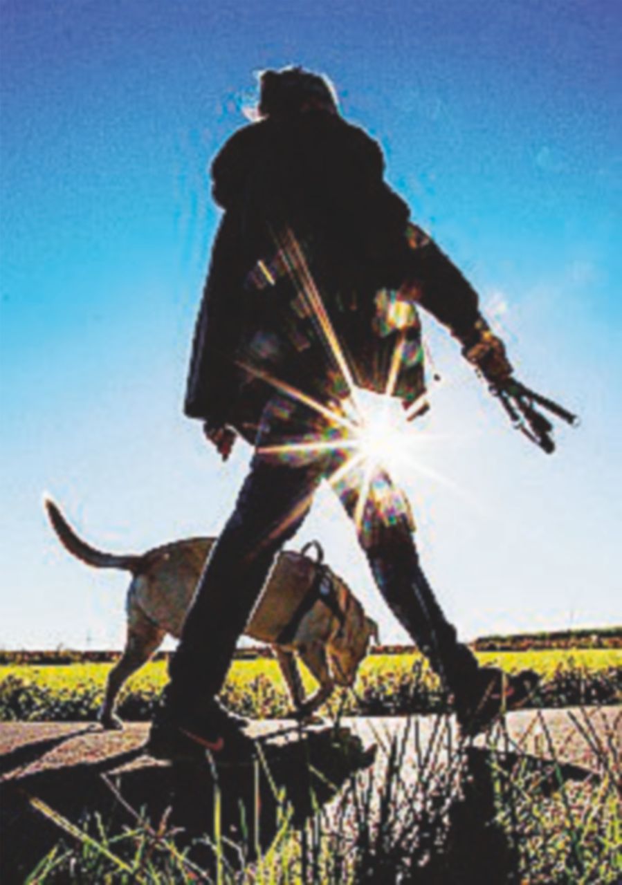 Buccinasco, acido contro la vicina: non sopportava i suoi cani