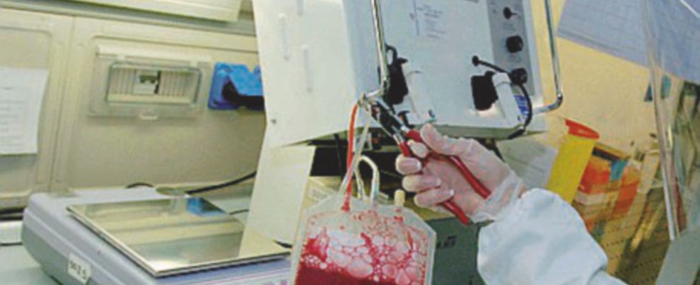 Il processo Poggiolini è finito - LaPresse Coppia di coniugi contagiata da sacche di sangue infetto: il ministero dovrà risarcirli