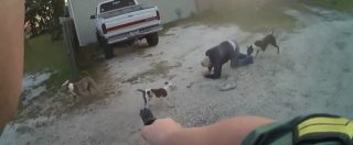 Copertina di Branco di cani attacca un uomo e un ragazzo, il poliziotto interviene e viene assalito: estrae la pistola e reagisce così