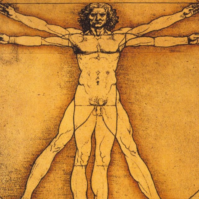 Leonardo Da Vinci, il direttore degli Uffizi Schmidt: “La sua ciocca di capelli? Una sciocchezza”