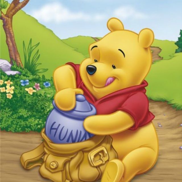 Incendio nel “Bosco dei Cento Acri” di Winnie the Pooh: distrutta la foresta dove sono ambientate le avventure dell’orsetto