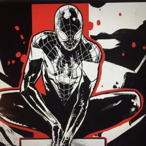 Sara Pichelli Dalle Marche Alla Marvel La Storia Dell Ideatrice Dell Alter Ego Di Spider Man Ho Dovuto Mostrare L Assegno Per Convincere La Gente Che Mi Pagavano Per Disegnare Il Fatto Quotidiano