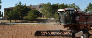 Copertina di Consorzio Marche Biologiche, impegno e formazione per l’agricoltura del futuro