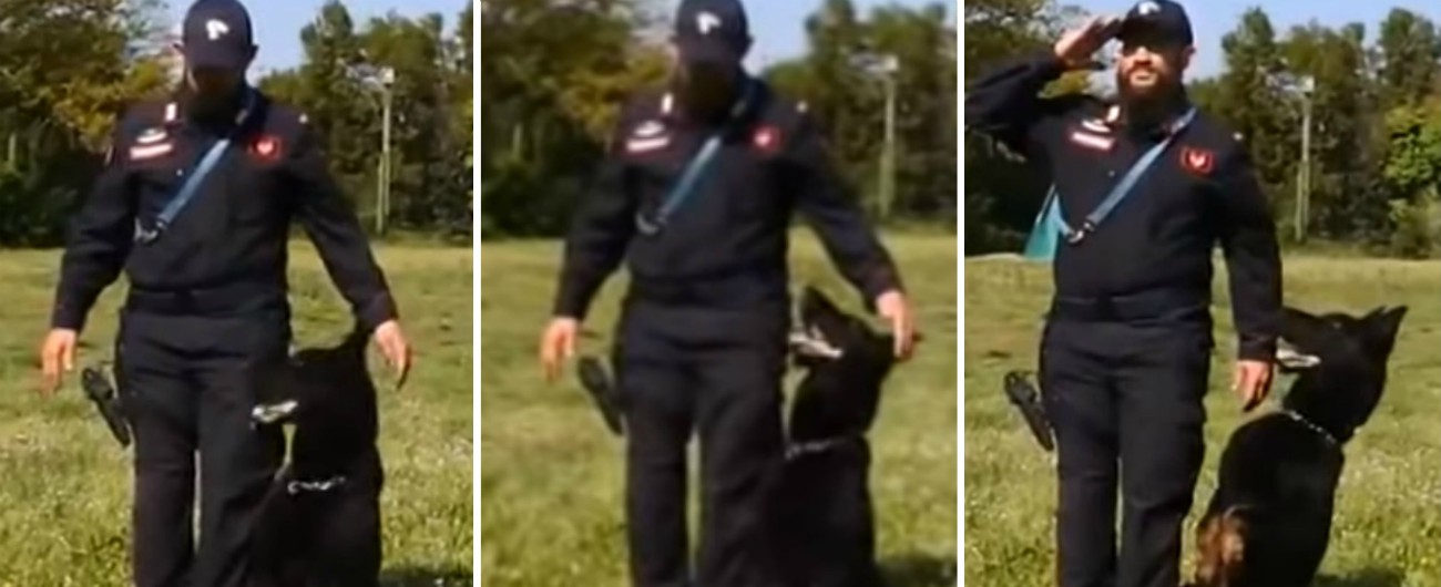 Copertina di “Sitz, in piedi”: così Bruno, il cane dei Carabinieri, impara a fare il “saluto militare”. Il video dell’addestramento