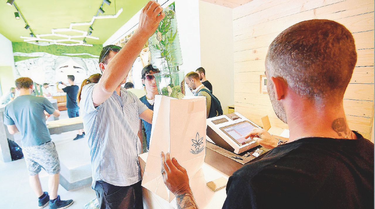 Cannabis, così Salvini usa il caos normativo per la propaganda