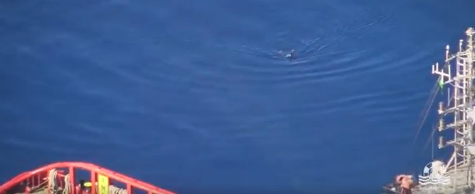 Copertina di Migranti, la denuncia di Sea Watch: “Naufraghi scappano a nuoto da Guardia costiera libica. Ecco le immagini”