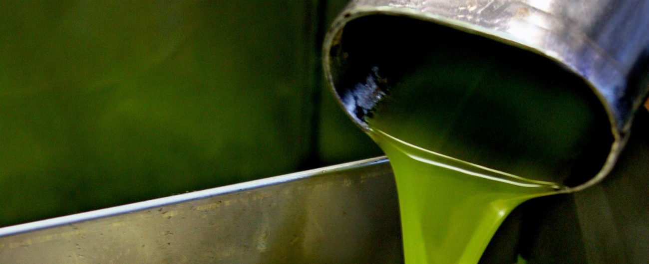 Olio di soia spacciato per extravergine d’oliva: società fittizie e frantoi fantasma, 24 arresti. “Venduto in Italia e all’estero”