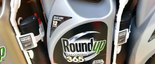 Copertina di Glifosato, Bayer condannata per il Roundup: è la terza volta. Due miliardi a una coppia che ha contratto il cancro