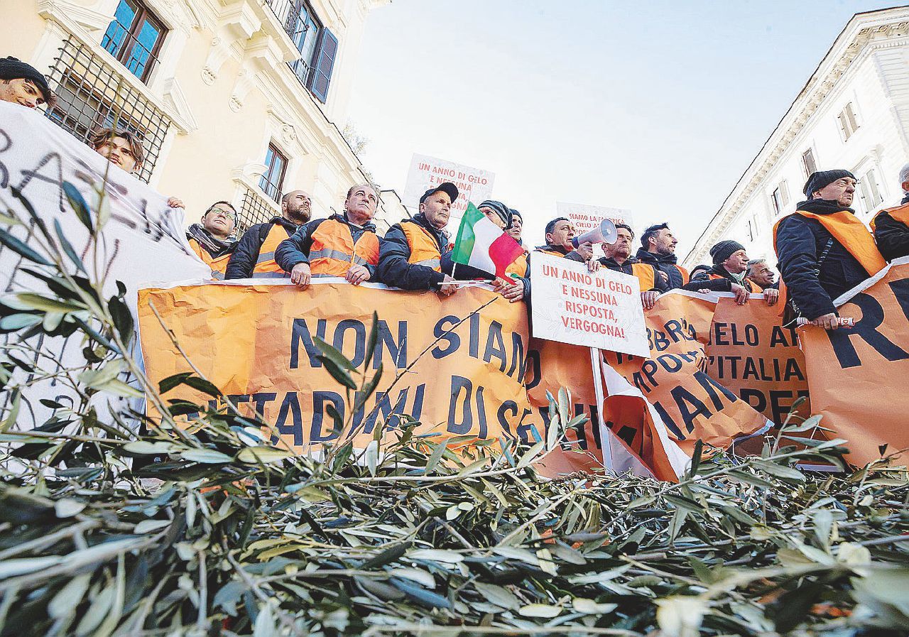 Xylella, ok al taglio selvaggio sulla base di analisi contestate