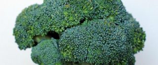 Copertina di Cancro, ecco perché broccoli e cavoli possono essere armi contro i tumori