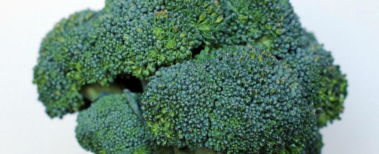 Cancro, ecco perché broccoli e cavoli possono essere armi contro i tumori