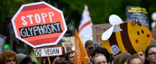 Glifosato, terza batosta per Bayer. Ora i cittadini europei vogliono risposte