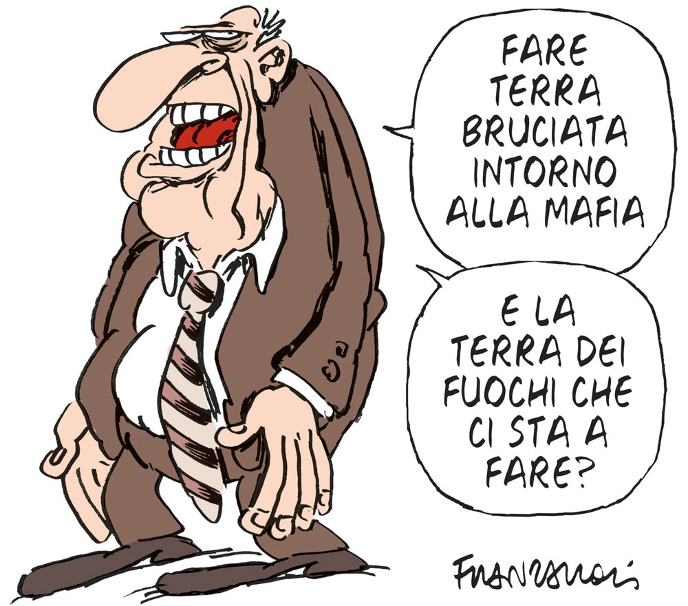 Copertina di La vignetta di Franzaroli