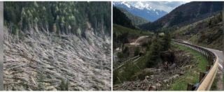 Copertina di Dolomiti, la neve si scioglie e svela lo scenario apocalittico: migliaia di alberi spezzati lungo la strada. Le immagini