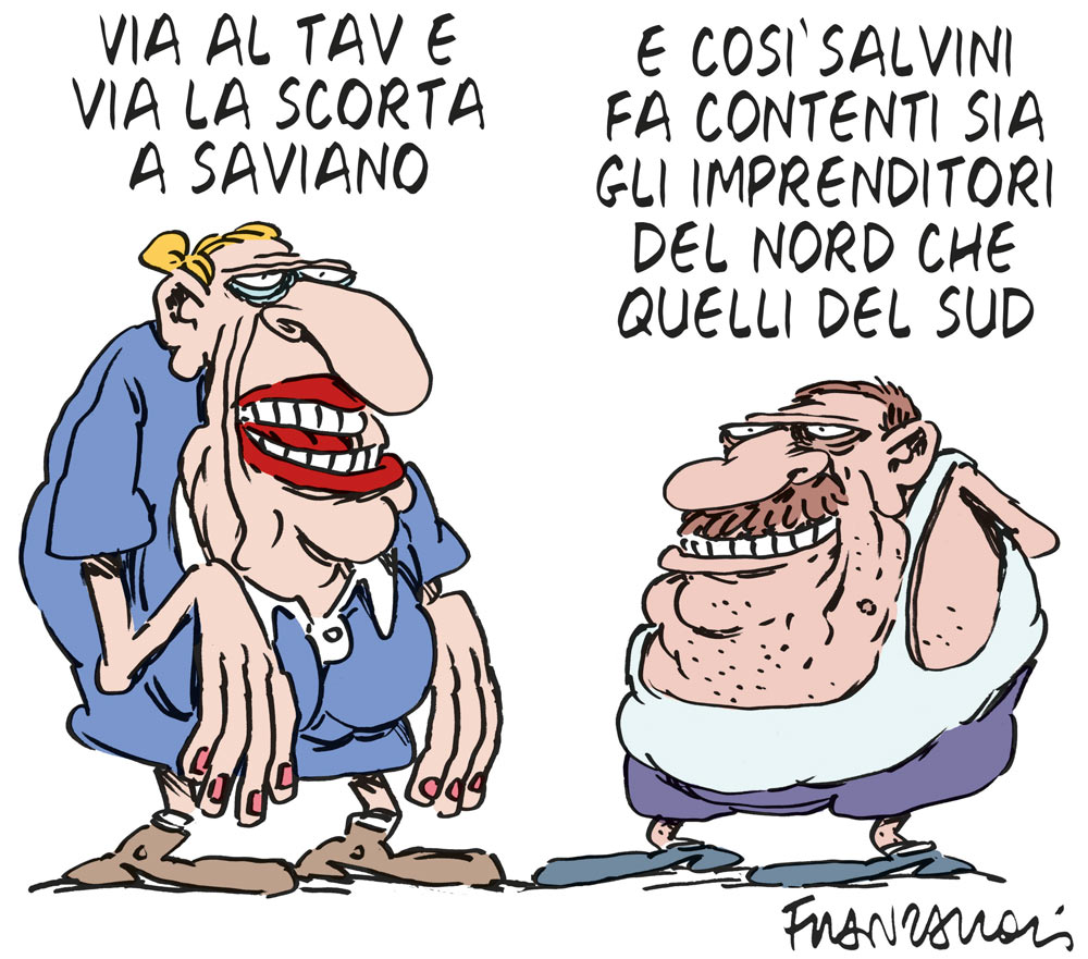 Copertina di La vignetta di Franzaroli