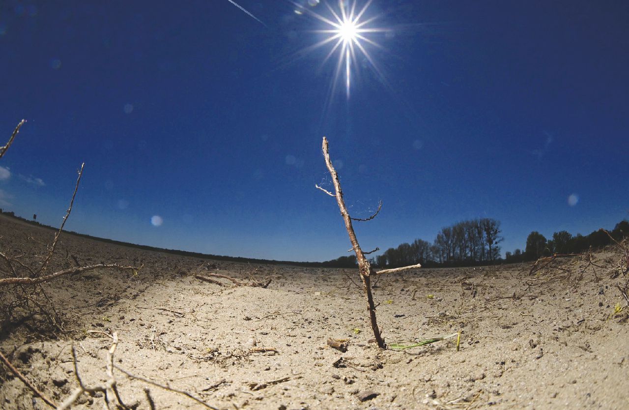 Copertina di Naomi Klein: “Per salvare il pianeta ci vuole un Green New Deal universale”