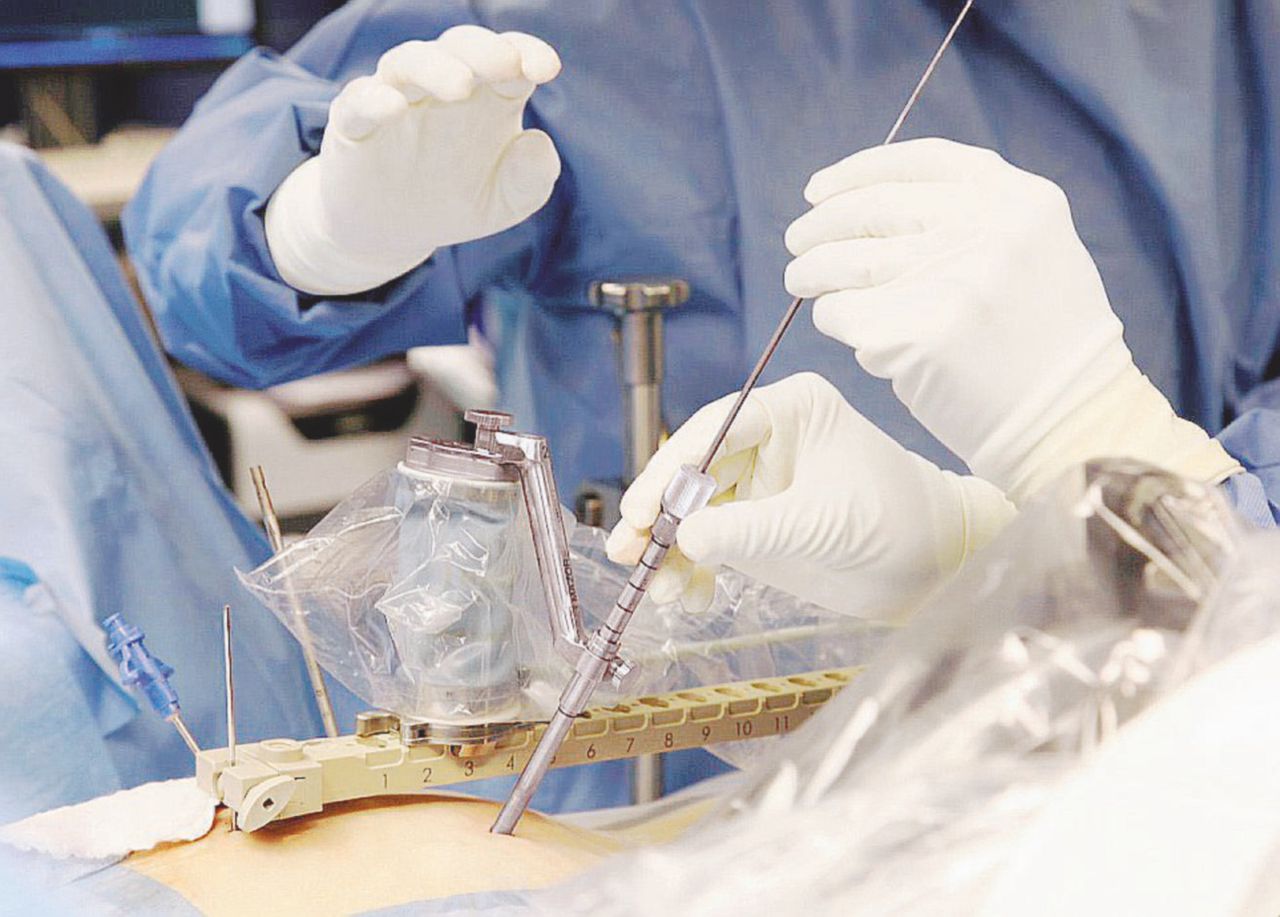 Copertina di Nervi sani e nervi lesionati per ricostruire le mani