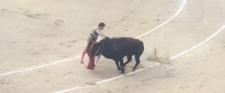 Copertina di Madrid, ancora sangue nell’arena. Il torero Roman Collado ferito gravemente durante la corrida domenicale