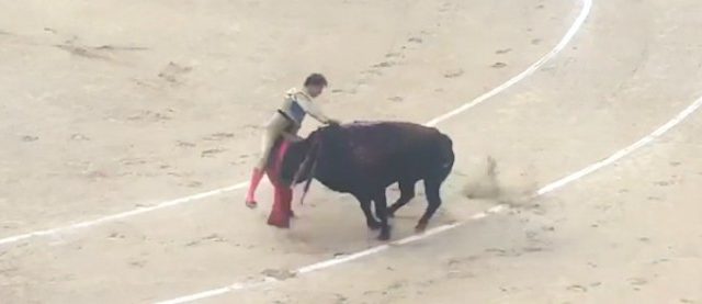 Madrid, ancora sangue nell'arena. Il torero Roman Collado ferito gravemente durante la corrida domenicale