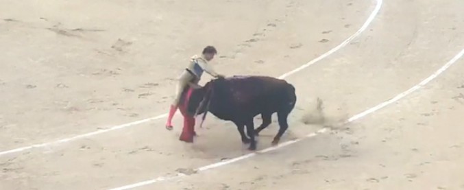 Copertina di Madrid, ancora sangue nell’arena. Il torero Roman Collado ferito gravemente durante la corrida domenicale