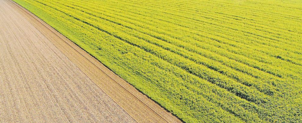 Oltre 200 indagati - La Procura di Enna lavora anni sulle frodi relative ai fondi agricoli Ue Fondi Ue “per l’agricoltura” pagati addirittura per l’Ilva