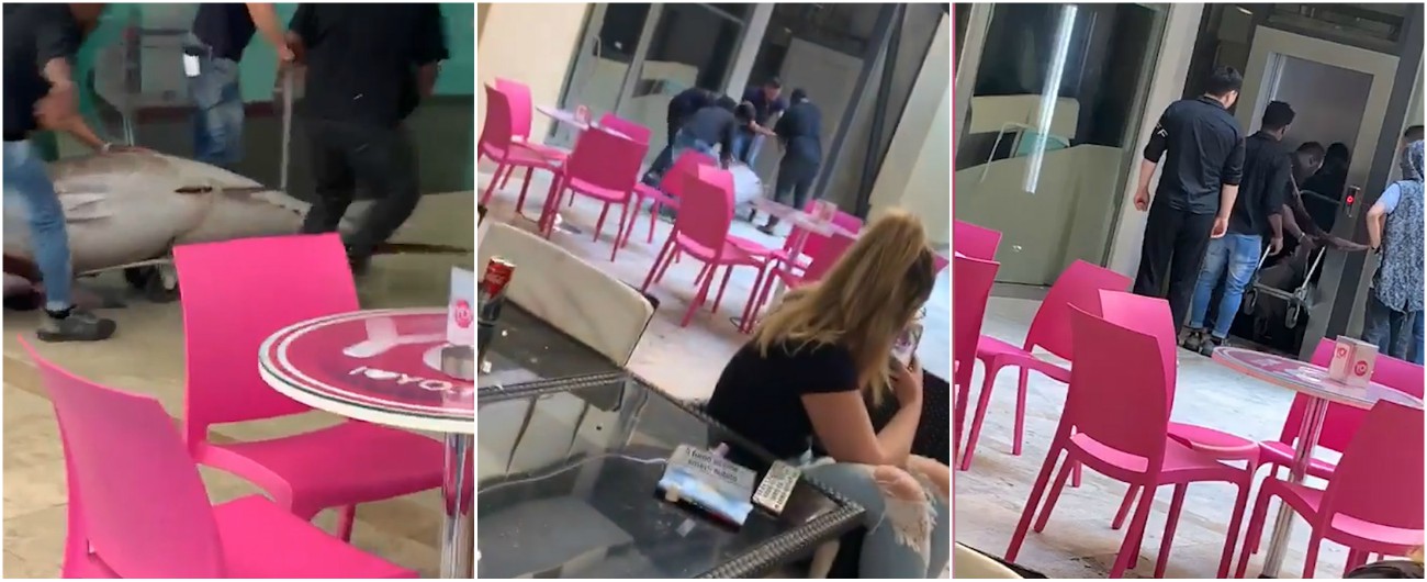 Copertina di Arezzo, trascinano un tonno in ascensore. La scena viene ripresa e la Asl impone chiusura temporanea