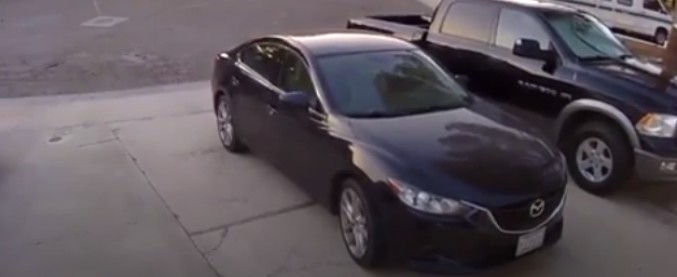 Copertina di California, terremoto di magnitudo 7.1: la scossa ripresa dalla videosorveglianza di un parcheggio