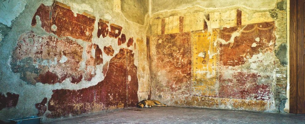 Cave Canem - Siamo nei pressi di via dell’Abbondanza, Pompei. Qui, in una delle stanze dei custodi, ha casa l’animale (con tanto di ciotola per l’acqua e croccantini) - Giovanni Izzo Bombe di Pompei: dormienti come la nostra cultura