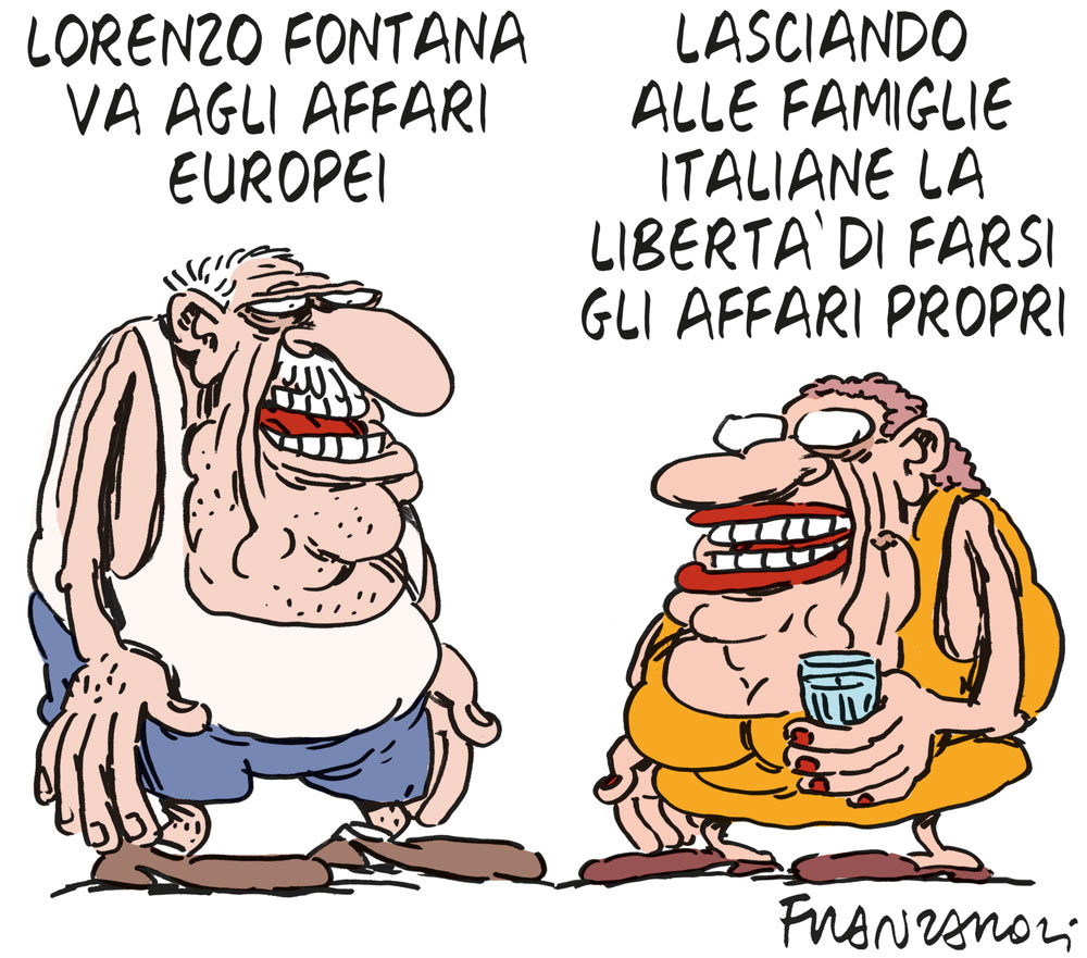 Copertina di La vignetta di Franzaroli