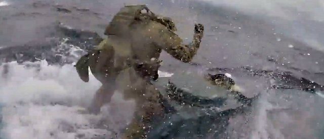 Guardia costiera intercetta sottomarino carico di cocaina: l’inseguimento ad alta velocità sembra tratto da un film