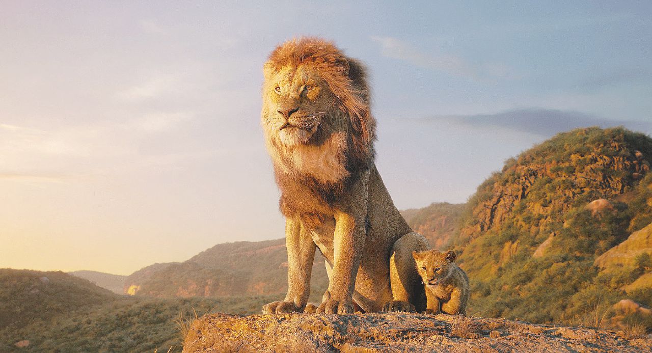 Copertina di Povero Simba, tanto vero da sembrare falso