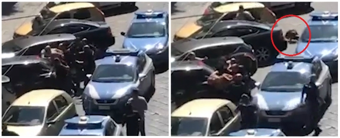 Copertina di Napoli, pitbull dell’arrestato aizzato morde poliziotto. Un altro agente spara, poi soccorre il cane: l’animale non ce la fa