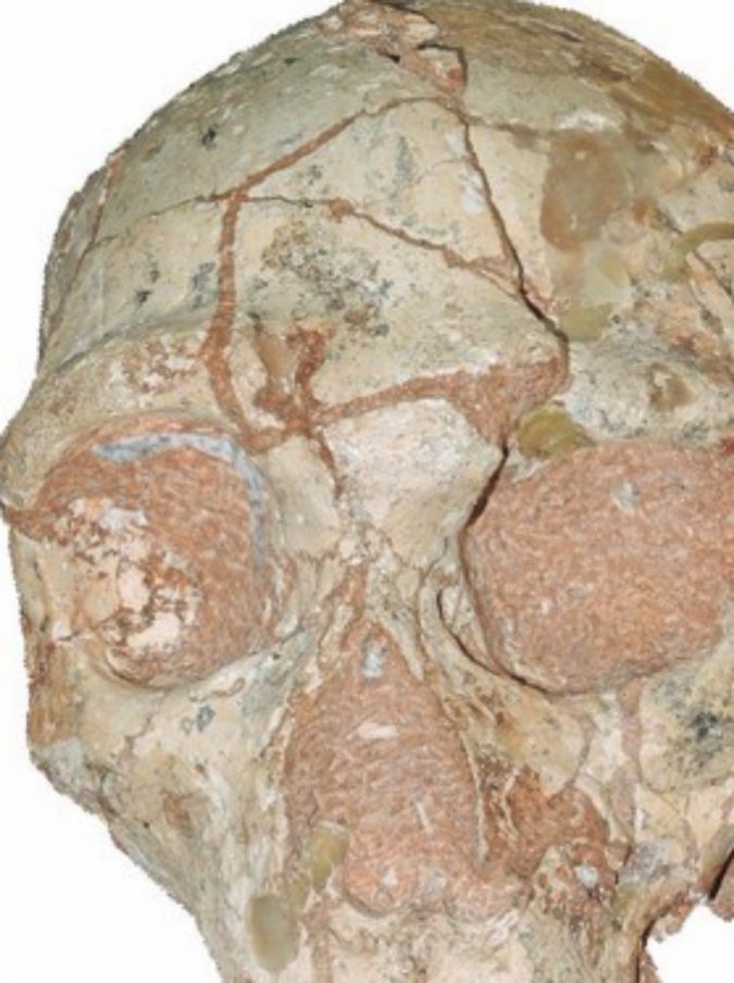Trovato il più antico reperto di Homo sapiens in Europa, e probabilmente di tutta l’Eurasia