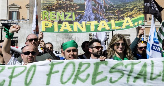 Corpo Forestale, il paradosso dei 507 idonei: verso l’assunzione con la legge D’Alia, disoccupati con un decreto del Governo Renzi